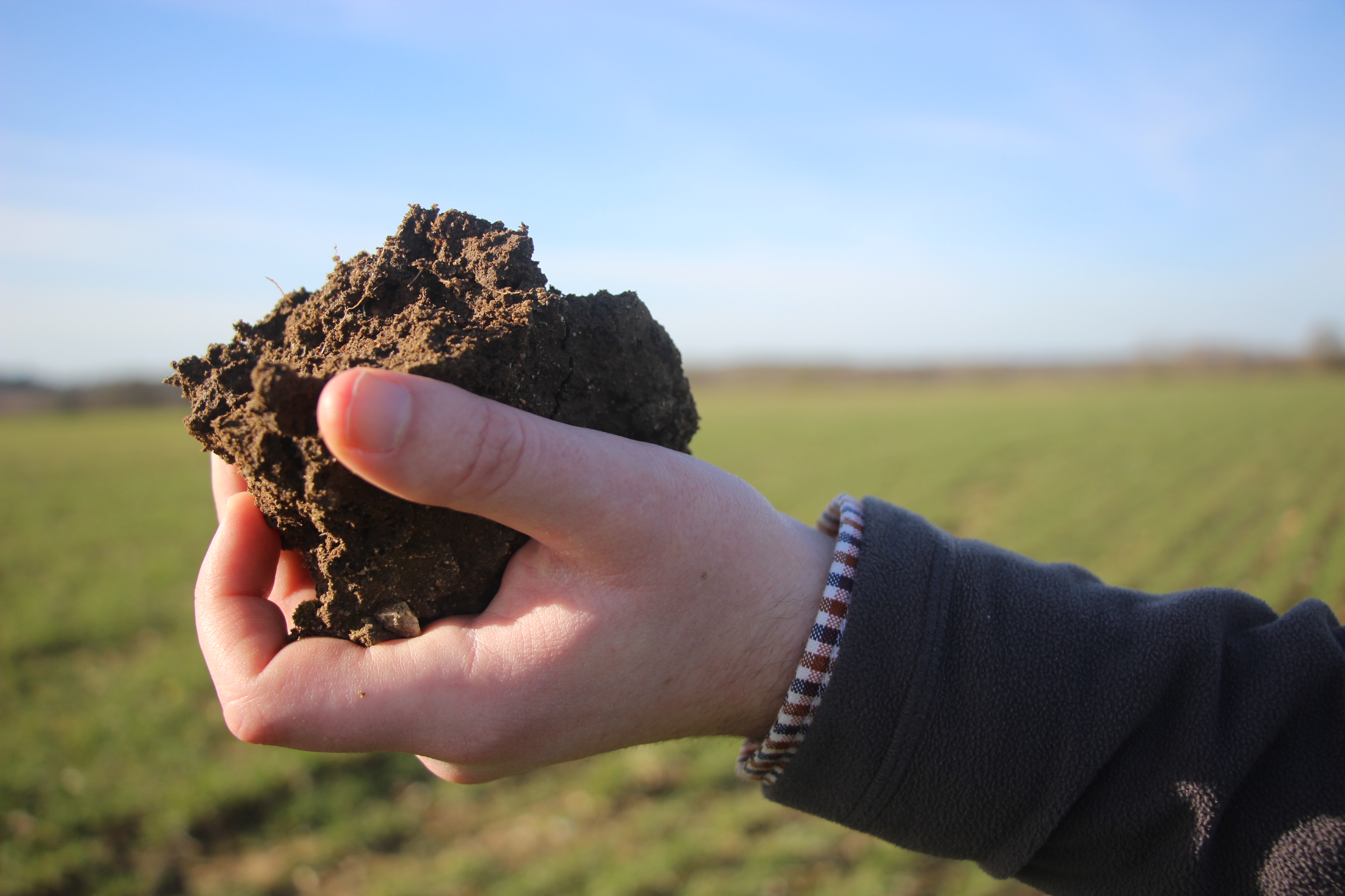 A hand holding a lump of soil